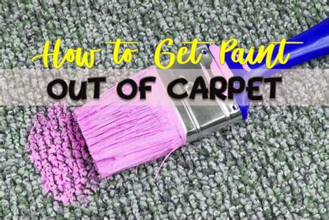 How To Get Paint Out Of Carpet Oil Acrylic Water Based Household