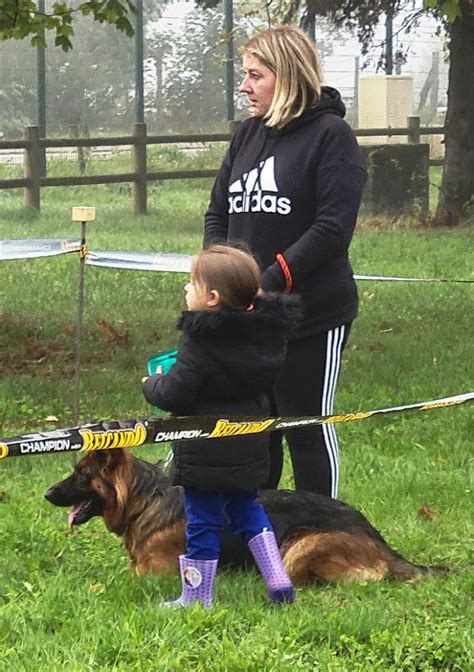 Chien Berger Allemand Poil Long Sirca Du Lunoxa