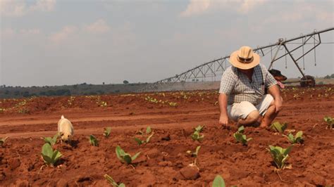 Zimbabwe Bank To Pay Evicted White Farmers Us K Each Furtherafrica