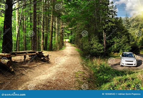 Parked Car In A Scary Forest In The Mountains Stock Image Image Of