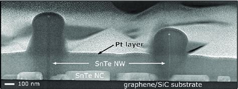 Low Resolution Tem Image Of The Focused Ion Beam Crosssection Of Sample Download Scientific