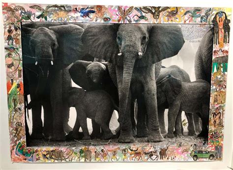 Peter Beard Art 14 For Sale At 1stdibs Buy Peter Beard Art Buy