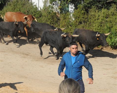 Fotos Las mejores imágenes del primer encierro de las Fiestas de