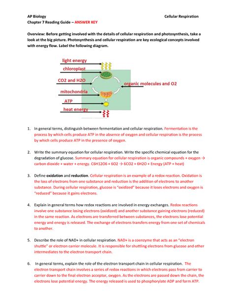 Chapter 7 Cell Respiration Answer Key 2017 Ap Biology Cellular Respiration Chapter 7 Reading