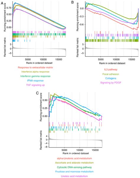 Gene Set Enrichment Analysis Of Differentially Expressed Genes