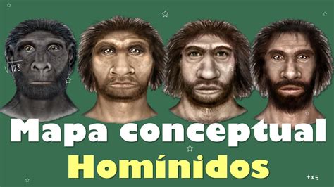 Mapa Conceptual Mapa Conceptual Hominidos Mapas Images Images And The