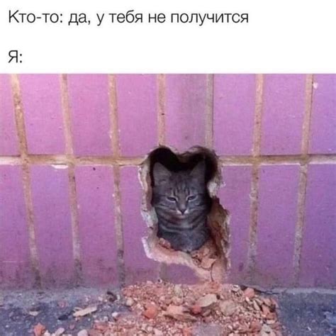 Нет ничего невозможного | Пикабу
