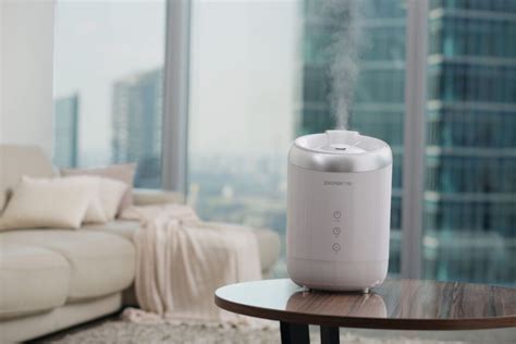 Humidifier Vs Dehumidifier Compare And Decide Which Is Better For You