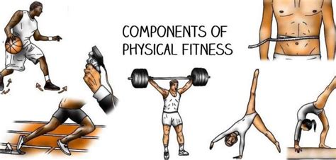 The 5 Components Of Physical Fitness • Bodybuilding Wizard