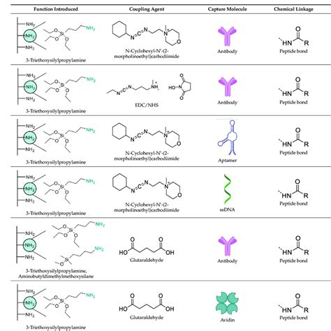 Methods Reported For The Covalent Conjugation Of Capture Biomolecules