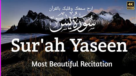 Surah Yaseen Full With English Translation Surat Yasin Most Beautiful