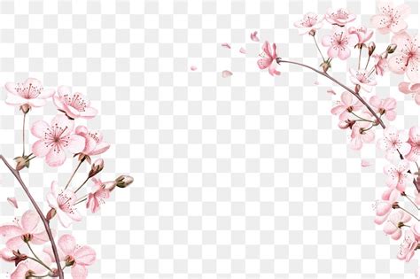 Spring Cherry Blossom Png Border Premium PNG Rawpixel