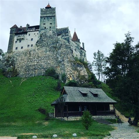 Libearty Bear Sanctuary And Dracula S Castle Day Tour From Bucharest