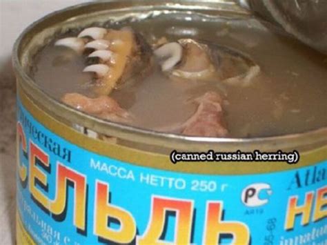General Knowledge For Everyone Weird And Yuck Canned Food
