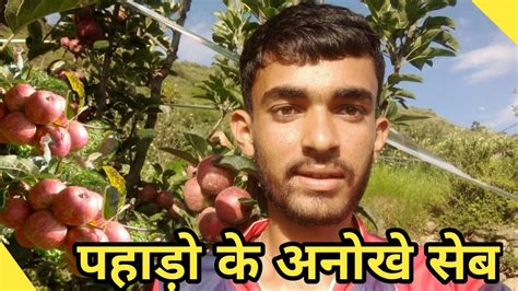 PAHADO KE SEB Village Lifestyle Vlog YouTube