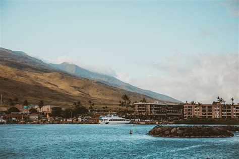 The Best Maui Whale Watching Tour with the Pride of Maui