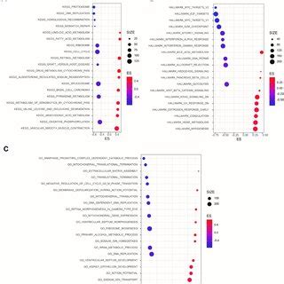 Gene Set Enrichment Analysis GSEA Of LARGE1 Co Expressed Genes In