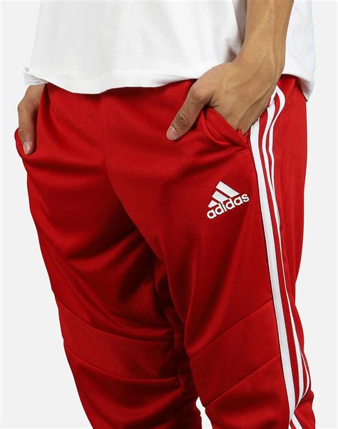 Adidas Synthetic Tiro 19 Training Pants In Red For Men Lyst