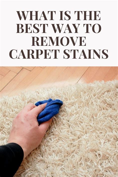 What Is The Best Way To Remove Carpet Stains Stain Remover Carpet