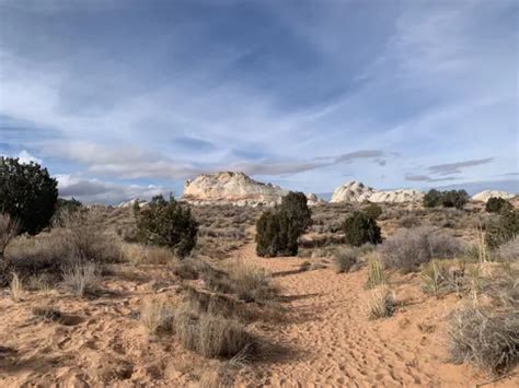 Best 10 Hiking Trails in Vermilion Cliffs National Monument | AllTrails