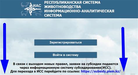 плем кз