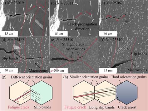 Fatigue Crack Propagation Behavior Of Rolled Ti Al V Alloy Max