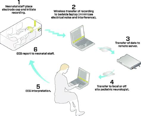 Flow Diagram Of The Eeg Recording Process Download Scientific Diagram