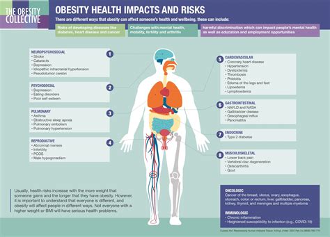 What Is Obesity The Obesity Collective