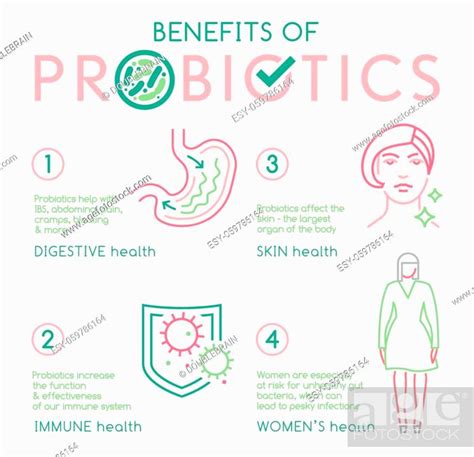 Benefits Of Probiotics Landscape Poster Medical Infographic Stock