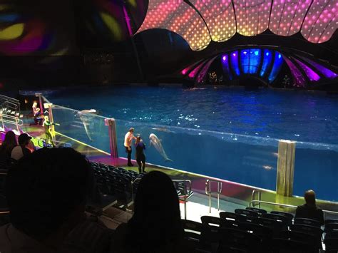 The new sea lion exhibit and dolphin show at the Georgia Aquarium ...