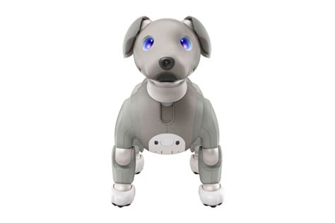 Sony Aibo Robot Dog Black Sesame Edition Release Hypebeast