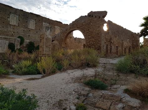 The Ruins Of An Old Building Are Surrounded By Vegetation