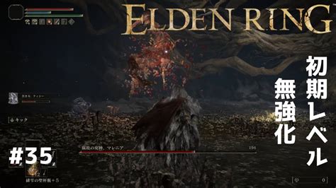 【elden Ring】初期レベル未強化縛り35 ミケラの刃、マレニア【エルデンリング】 Youtube