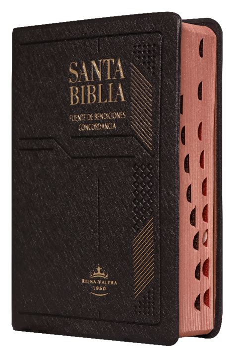 Filipenses Biblia Reina Valera Rvr Natural Landmarks