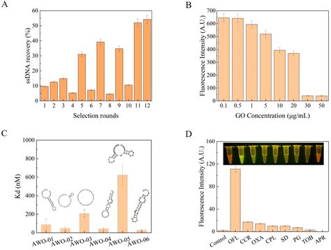 Sensors Free Full Text Aptamer Based Sensor For Rapid And Sensitive Detection Of Ofloxacin