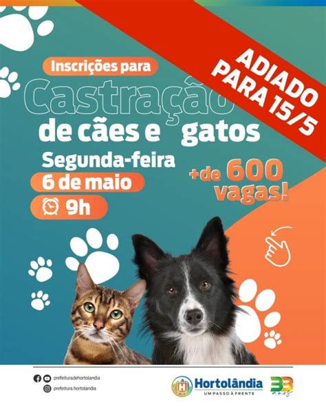 Campanha De Castra O De Animais Dom Sticos Em Hortol Ndia Um Passo