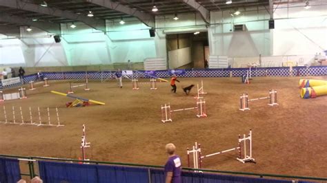 AKC Agility Nationals 2015 Reno Krinna Hix And Kate Friday Premier