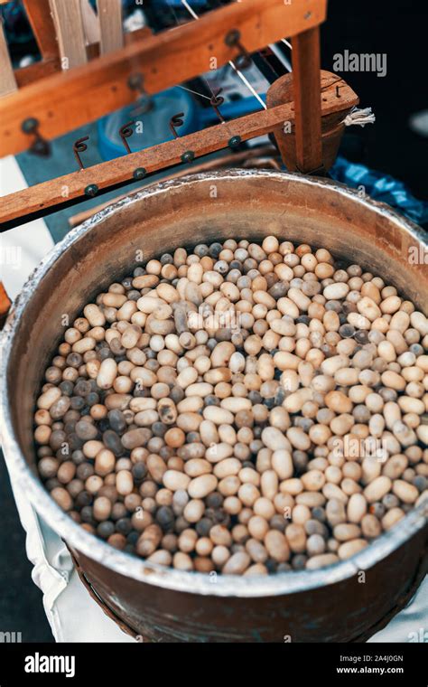 Silkworm Cocoons In Hot Water In Cauldron Traditional Spinning Wheel