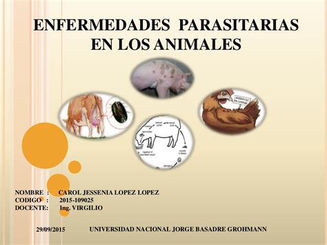 Enfermedades Parasitarias En Los Animales