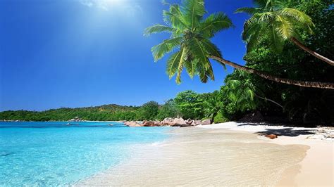 Bahamas Caribbean Beach At Hd Wallpaper Pxfuel