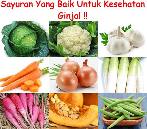 Makanan Yang Baik Untuk Ginjal Homecare