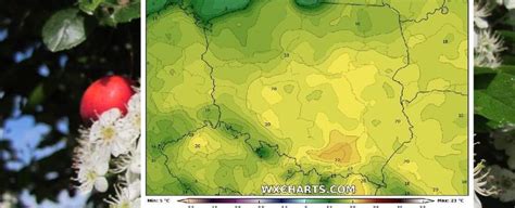 Najnowsza Pogoda Na Maj Wk Ciep O W Polsce I Deszcz Tylko