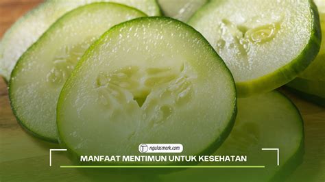 Rahasia Kesehatan Manfaat Mentimun Yang Tak Disangka Sangka Menurut