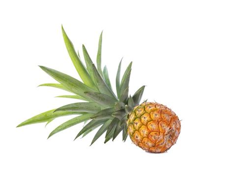 Premium Photo Pineapple Isolated On White Background