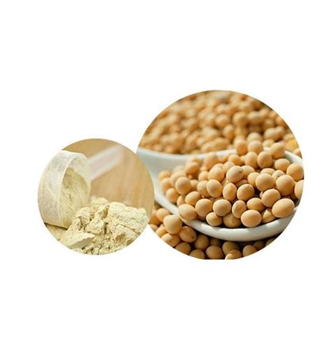 Organic Soy Protein Supplier | Manufacturer — Laybio