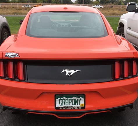 Are You Getting Vanity License Plates For Your Mustang 7th Gen 2024