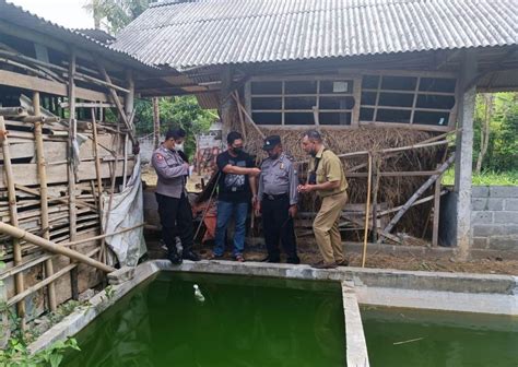 Pamit Ambil Mainan Balita Tahun Di Tulungagung Tewas Tercebur Kolam Ikan