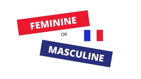 French Genders Masculine Or Feminine French Online Language Courses The Perfect French