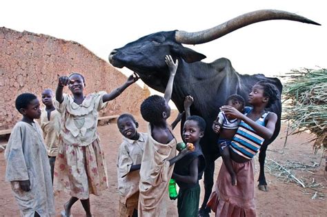 African children, Burkina, Travel photography people