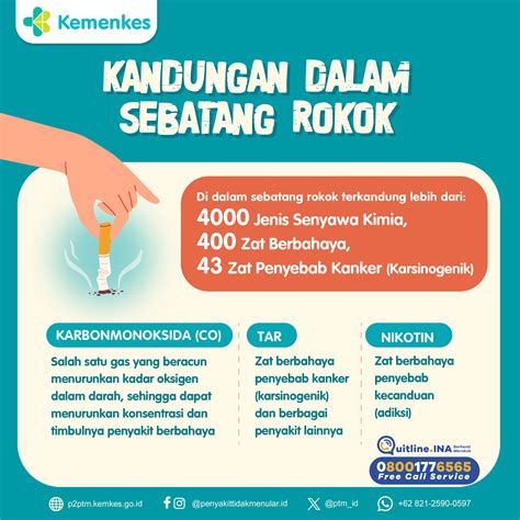 Apa Saja Zat Yang Terkandung Dalam Sebatang Rokok Penyakit Tidak